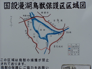 漫湖 チーズ.jpg